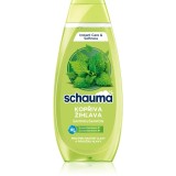 Schwarzkopf Schauma Nettle Freshness sampon pentru curatare pentru par si scalp gras 400 ml