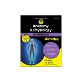 Anatomy and Physiology Workbook for Dummies, with Online Practice