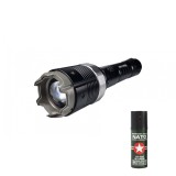 Cumpara ieftin Kit Electrosoc Metalic cu Lanterna si Reglaj Focusat 8810 si Spray Natto , DEPOX&reg; ,19 cm