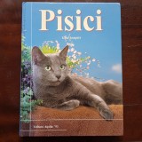 Pisici - Ghid Complet