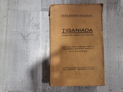 Tiganiada de Ioan Budai-Deleanu foto