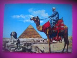 HOPCT 6874 MARELE SFINX SI PIRAMIDA DIN GIZA -EGIPTEAN IN COSTUM CU CAMILA -EGIPT -AFRICA-NECIRCULATA, Printata