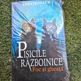 Pisicile razboinice. Foc si gheata - Erin Hunter