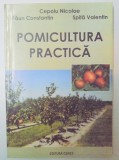 POMICULTURA PRACTICA de CEPOIU NICOLAE...SPITA VALENTIN , 2008 * PREZINTA HALOURI DE APA