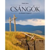 Cs&aacute;ng&oacute;k - Az elfelejtett magyarok - Pataki J&aacute;nos