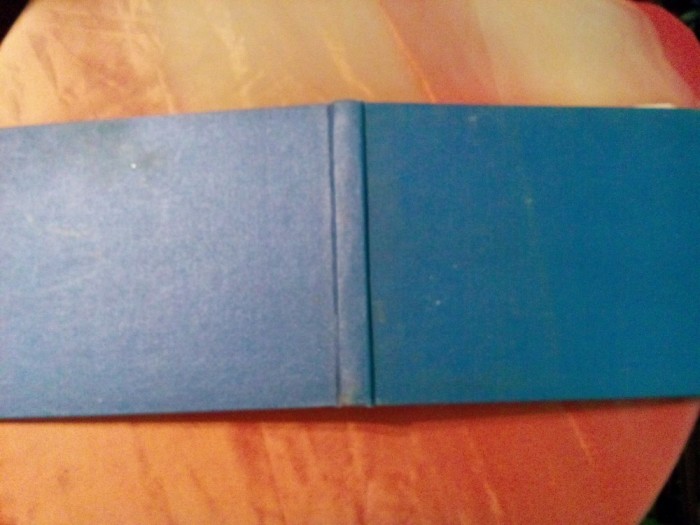 COMMENT COMPRENDRE VOTRE HOROSCOPE - Germaine Holley - Editions du Roche, 1977