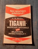 Tiganii minoritate nationala sau majoritate infractionala ? M. Bacanu