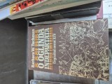 O oglindă &icirc;ndepărtată vintage