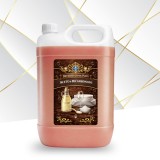 Detergent de vase Concentrat ACETO &amp; BICARBONATO, 5 Kg