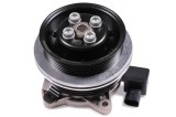 HEPU P651 Pompă de apă, răcire motor