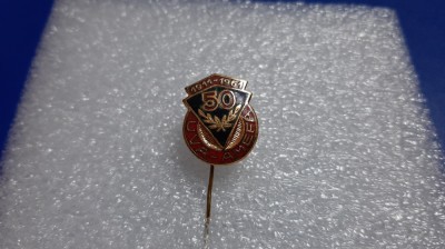 insigna aniversara UVA-AMEFA Arad foto