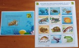 PALAU-FAUNA-MARINA-PESTI EXO.--SET+ colita-NESTAMP--Scan