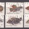 Tanzania 1991 Fishes, used M.078