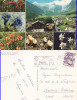 Ilustrata Elvetia- Alpi, Saas-fee, Necirculata, Printata