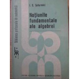 NOTIUNILE FUNDAMENTALE ALE ALGEBREI-I. R. SAFAREVICI-215874