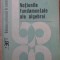 NOTIUNILE FUNDAMENTALE ALE ALGEBREI-I. R. SAFAREVICI-215874