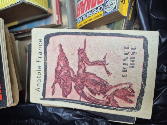 Crinul roșu vintage