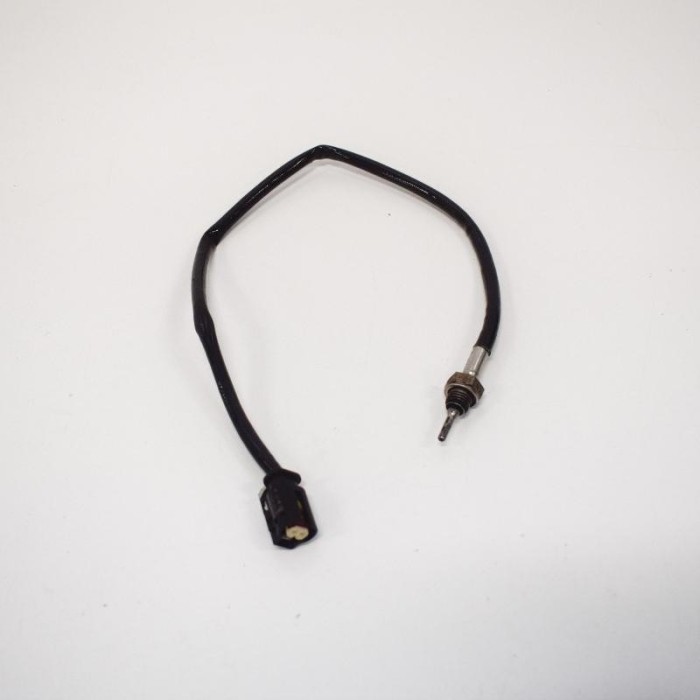 Senzor de temperatură BMW 4 Coupe F32, F82 2014 OEM: 7804177,8507628 10010617
