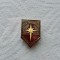 Insigna de pionier - Roza Vanturilor cls. I