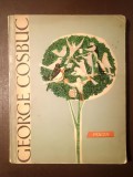 George Coșbuc - Poezii (ilustrații de A. Stoicescu; 1964)