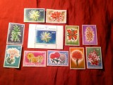 Serie Rwanda 1966 - Flora , 10 valori + Colita