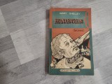Frankenstein de Mary Shelley