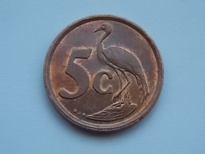 5 CENTS 1997 AFRICA DE SUD-AFRIKA DZONGA foto
