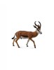 Figurina Antilopa Springbok L Collecta