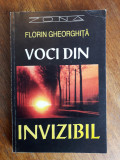 Voci din invizibil - Florin Gheorghita / R5P2S