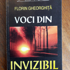 Voci din invizibil - Florin Gheorghita / R5P2S