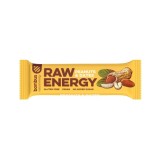 Baton proteic cu arahide si curmale, 50g, Raw Energy, Bombus