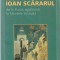 JOHN CHRYSSAVGIS - SFANTUL IOAN SCARARUL DE LA PUSTIA EGIPTEANA LA MUNTELE SINAI