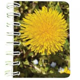 Carnet cu spira Papadie, 7 x 10 cm, 75 foi veline