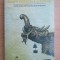 Istoria culturala a Tibetului - David Snellgrove