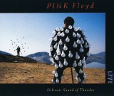 2xCD Pink Floyd - Delicate Sound of Thunder 1988