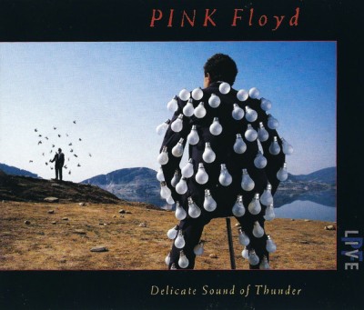 2xCD Pink Floyd - Delicate Sound of Thunder 1988 foto