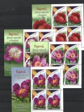 ROMANIA 2023 - BUJORUL, FLOAREA NATIONALA, MINICOLI, MNH - LP 2418