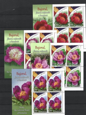 ROMANIA 2023 - BUJORUL, FLOAREA NATIONALA, MINICOLI, MNH - LP 2418 foto