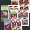 ROMANIA 2023 - BUJORUL, FLOAREA NATIONALA, MINICOLI, MNH - LP 2418