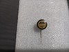 Insigna Tatabanyai