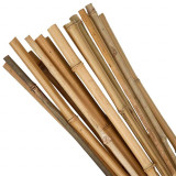 Tijă de grădină KBT 750/6-8 mm, 10 buc, bambus, Strend Pro