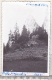 Bnk foto Hasmasul Mare - Piatra singuratica - 1965, Alb-Negru, Romania de la 1950, Natura