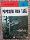 POPASURI PRIN TARA de VICTOR TUFESCU , 1976