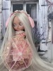 Papusa frumoasa, Dollz N More