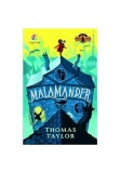 Malamander - Thomas Taylor - Corint