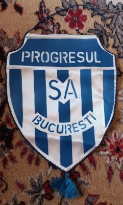 D9 M5 14 - fanion - sport - cluburi sportive - PROGRESUL SA - Bucuresti foto