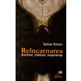 Sylvie Simon - Reincarnarea. Doctrine, marturii, experiente - 138062