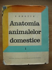 V. GHETIE - ANATOMIA ANIMALELOR DOMESTICE - vol. I - APARATUL LOCOMOTOR - 1971
