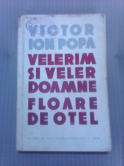 Velerim si veler doamne , floare de otel - VICTOR ION POPA foto