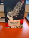 O lebădă sălbatică și alte povești - Michael Cunningham